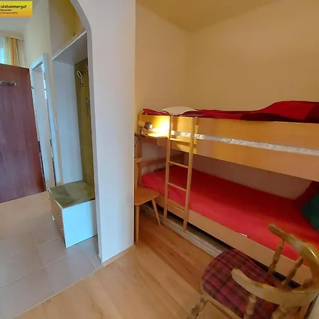 Apartment Nah Dran Bad Mitterndorf